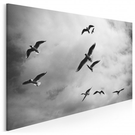 Skrzydlaci bracia - fotografia na płótnie - 120x80 cm