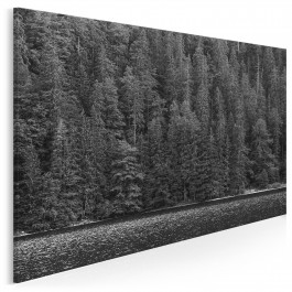 Bezkres lasów - zdjęcie na płótnie - 120x80 cm