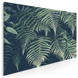 Wysmakowana paproć - nowoczesny obraz na płótnie - 120x80 cm