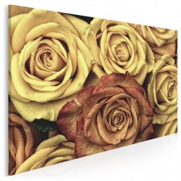 Herbaciane róże - fotoobraz na płótnie - 120x80 cm