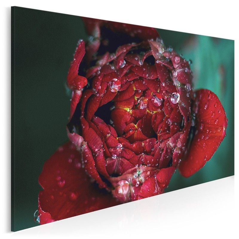 Poranna rosa - fotoobraz na płótnie - 120x80 cm