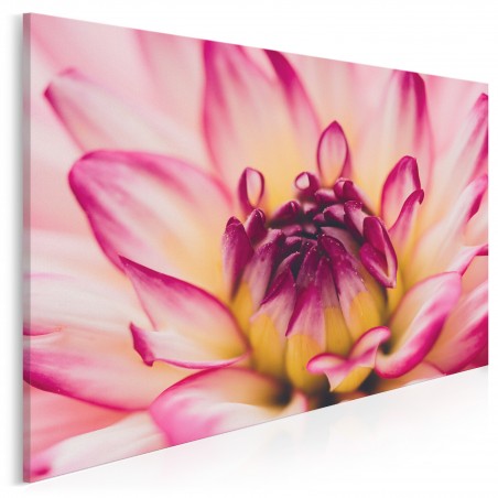 Piękno w rozkwicie - fotografia na płótnie - 120x80 cm