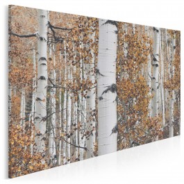 Energia brzozy - fotoobraz na płótnie - 120x80 cm Energia brzozy - fotoobraz na płótnie - 120x80 cm