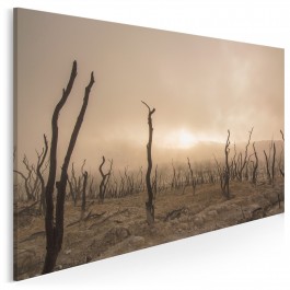 Kraina rozważań - fotoobraz do salonu - 120x80 cm Kraina rozważań - fotoobraz do salonu - 120x80 cm