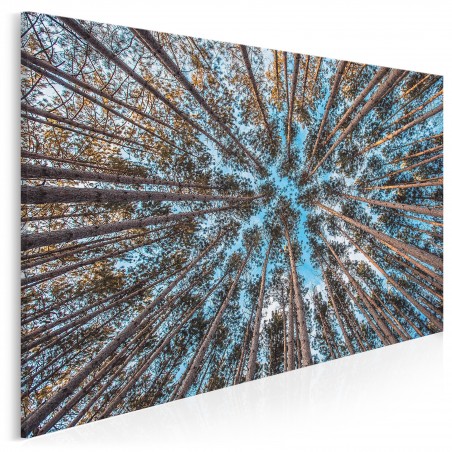Lasem do góry - fotografia na płótnie - 120x80 cm - 120x80 cm