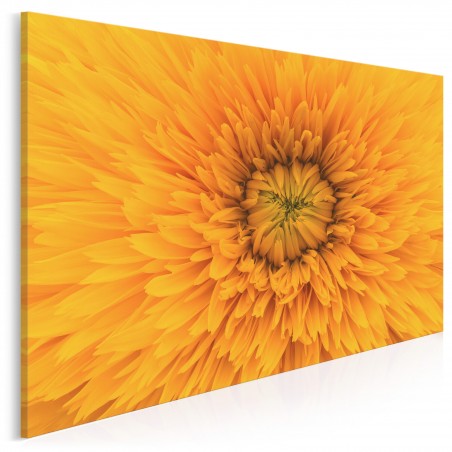 Tysiące promieni słońca - fotografia na płótnie - 120x80 cm