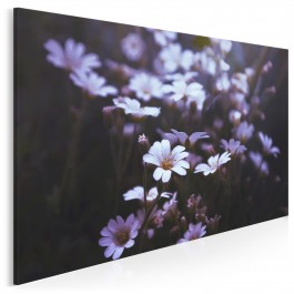 Kokieteria natury - fotoobraz do sypialni - 120x80 cm