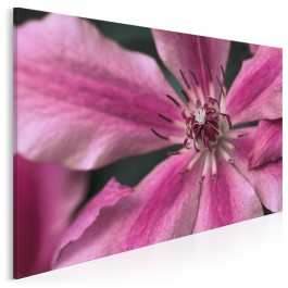 Kwietne przebudzenie - zdjęcie na płótnie - 120x80 cm