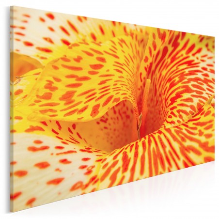 Kameleon - fotoobraz do salonu - 120x80 cm