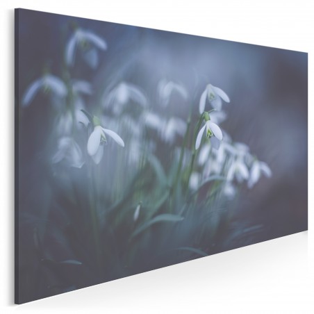 Czystość bieli - fotografia na płótnie - 120x80 cm