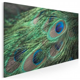 Pawie pióro - fotoobraz do sypialni - 120x80 cm