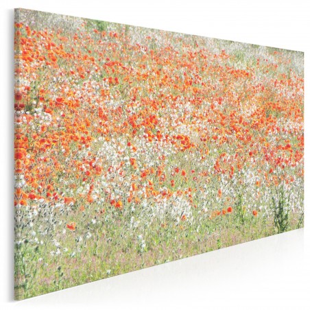Artystyczne maki - fotografia na płótnie - 120x80 cm