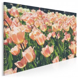 Ku słońcu - fotoobraz do sypialni - 120x80 cm Ku słońcu - fotoobraz do sypialni - 120x80 cm