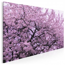 Zwiastowanie wiosny - zdjęcie na płótnie - 120x80 cm Zwiastowanie wiosny - zdjęcie na płótnie - 120x80 cm