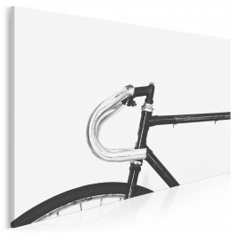 Klasyka gatunku - fotoobraz na płótnie