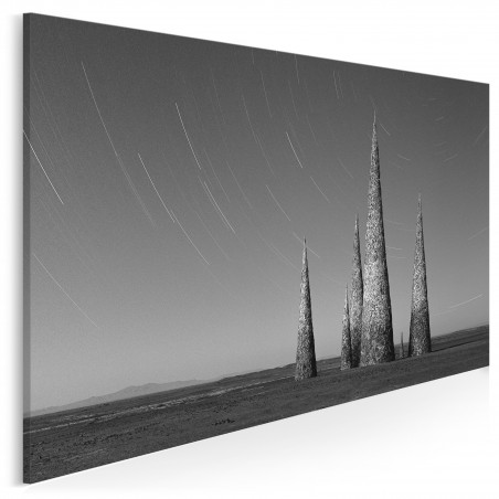 Ku przestworzom - fotografia na płótnie - 120x80 cm