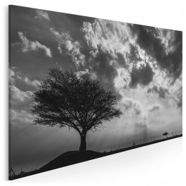 Wieczne drzewo życia - fotoobraz do salonu - 120x80 cm