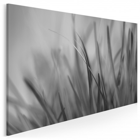 Co w trawie piszczy - zdjęcie na płótnie - 120x80 cm
