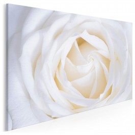 Kwiat niewinności - nowoczesny obraz na płótnie - 120x80 cm