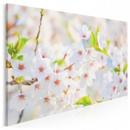 Delikatne płatki - zdjęcie na płótnie - 120x80 cm Delikatne płatki - zdjęcie na płótnie - 120x80 cm