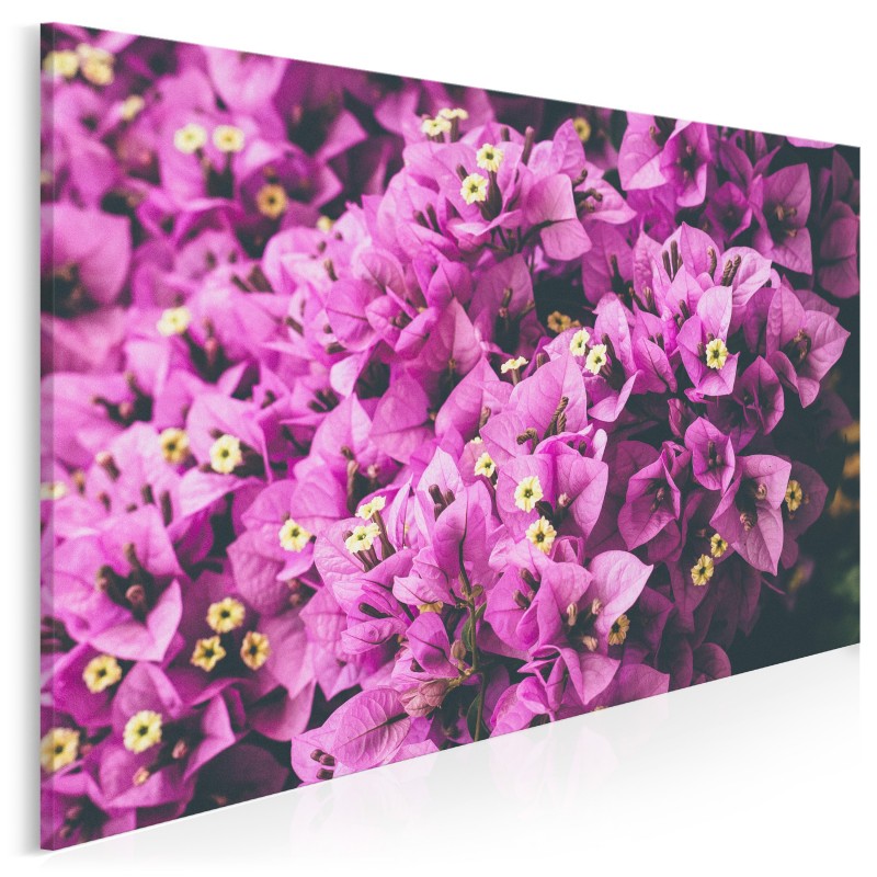 Liliowa bugenwilla - fotoobraz na płótnie - 120x80 cm
