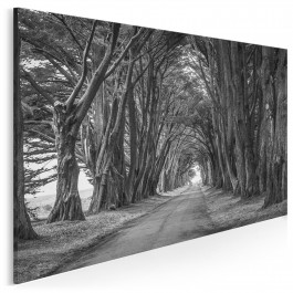 Obrany kierunek - nowoczesny obraz na płótnie - 120x80 cm