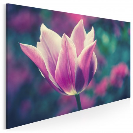 Tulipanowe marzenie - zdjęcie na płótnie - 120x80 cm