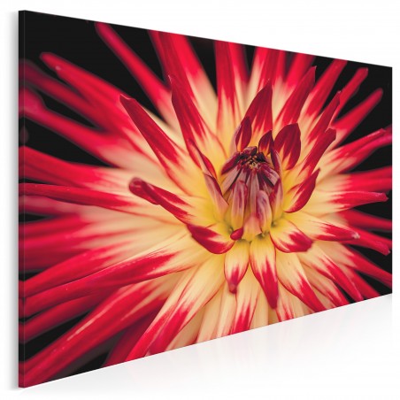 W promieniach płatków - fotoobraz na płótnie - 120x80 cm