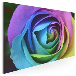 Zaczarowana róża - fotografia na płótnie - 120x80 cm