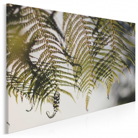 Pod kwiatem paproci - fotografia na płótnie - 120x80 cm