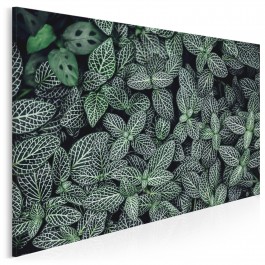 Ogród botaniczny - fotoobraz na płótnie - 120x80 cm Ogród botaniczny - fotoobraz na płótnie - 120x80 cm