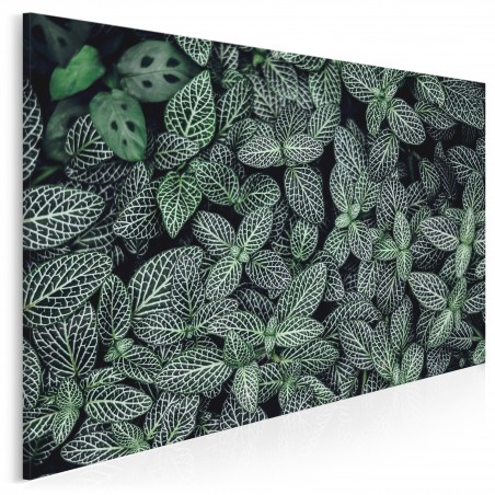 Ogród botaniczny - fotoobraz na płótnie - 120x80 cm