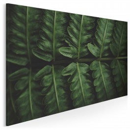 Fenomen zieleni - fotografia na płótnie - 120x80 cm