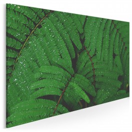 Soczyste zielenie - fotoobraz do salonu - 120x80 cm