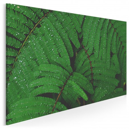 Soczyste zielenie - fotoobraz do salonu - 120x80 cm