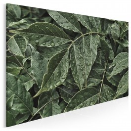 Wiosenna rosa - zdjęcie na płótnie - 120x80 cm