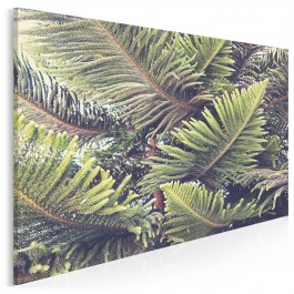 Kuriozum natury - fotoobraz do sypialni - 120x80 cm