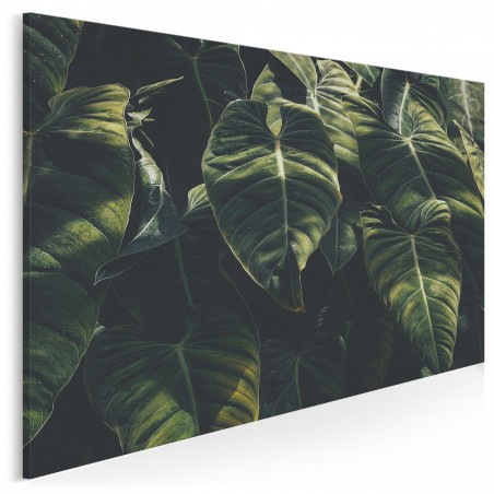 Malachitowy cień - fotografia na płótnie - 120x80 cm