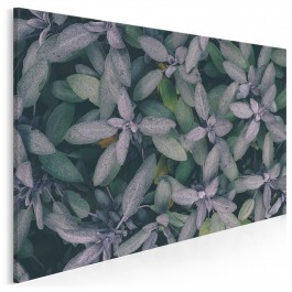 W gąszczu zieleni - fotoobraz do salonu - 120x80 cm