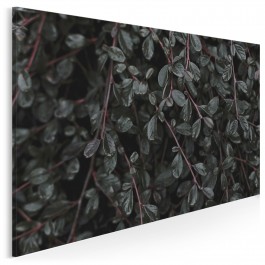 Tajemniczy zagajnik - fotoobraz do sypialni - 120x80 cm Tajemniczy zagajnik - fotoobraz do sypialni - 120x80 cm