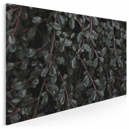 Tajemniczy zagajnik - fotoobraz do sypialni - 120x80 cm