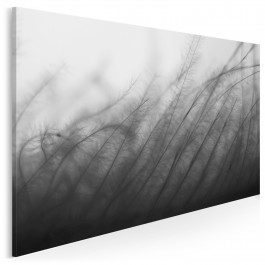 Anielskie pióro - fotoobraz do salonu - 120x80 cm