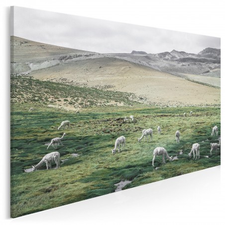 Pejzaż z alpakami - zdjęcie na płótnie - 120x80 cm