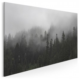 We mgle - fotografia na płótnie - 120x80 cm