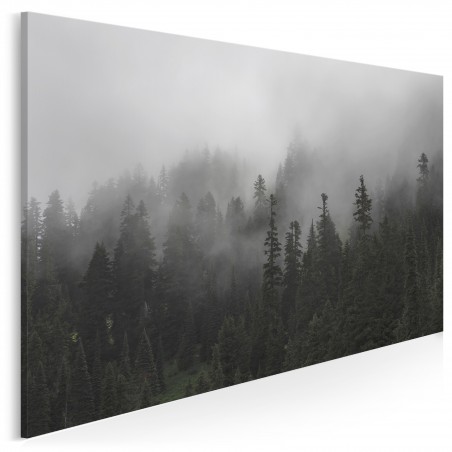 We mgle - fotografia na płótnie - 120x80 cm