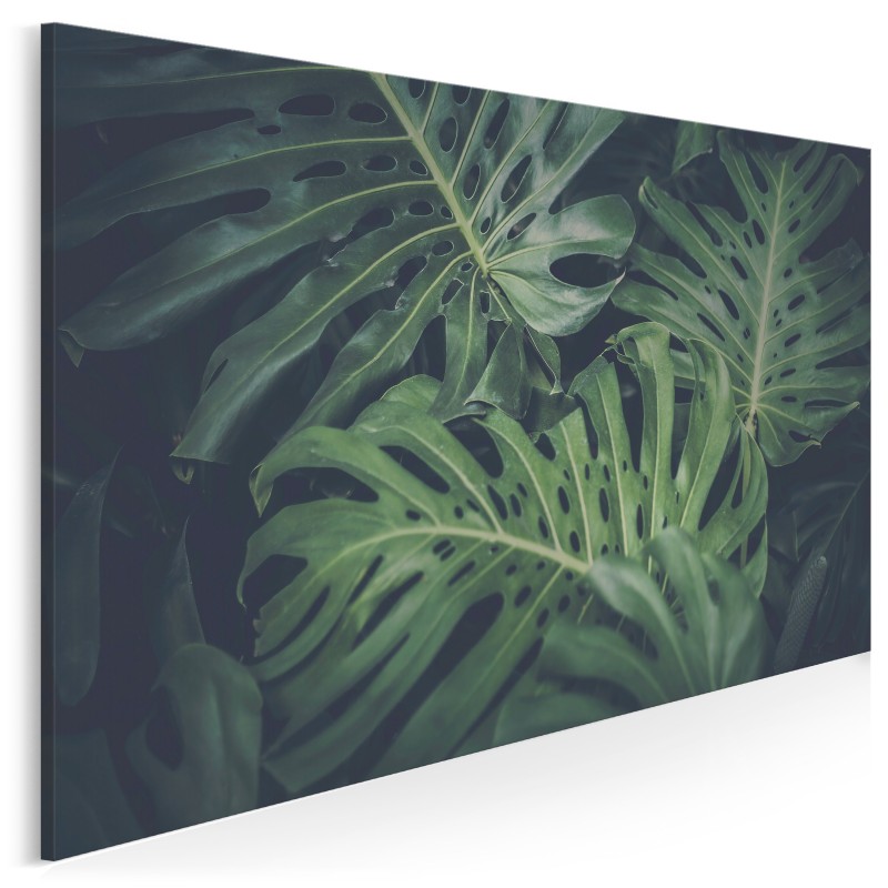Tropikalna monstera - fotoobraz na płótnie - 120x80 cm