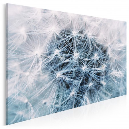 Biały dmuchawiec - fotoobraz do sypialni - 120x80 cm