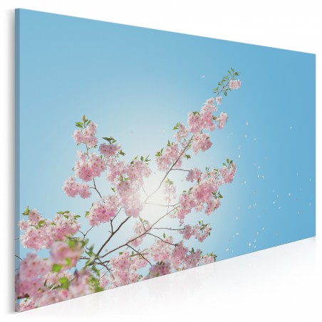 Wiśnia w słońcu - fotoobraz na płótnie - 120x80 cm