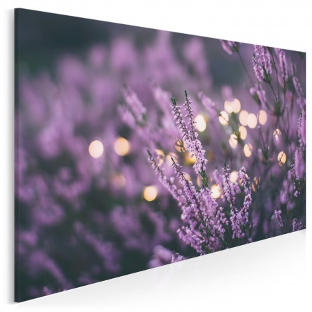 Lawendowe marzenie - fotografia na płótnie - 120x80 cm