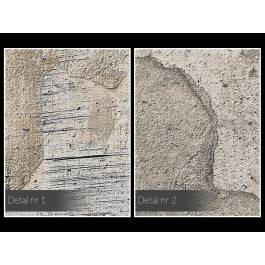 Surowe piękno - nowoczesny obraz na płótnie - 120x80 cm